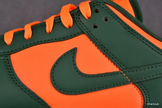 Nike Low DD1391-300 Dunk Hurricanes Miami 1027